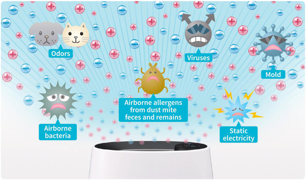 bacteria elimination